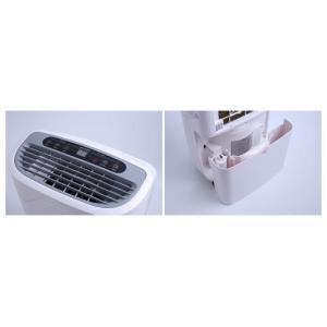China High Quality Popular New Style Greenhouse House Restoration Plastic 220v Home Dehumidifier supplier