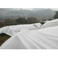 China White Ground Cover Weed Control Fabric Lightweight Non Toxic For Fruit Trees on sale