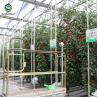 10m Hot Dip Galvanized Steel Frame Multi Span Greenhouse