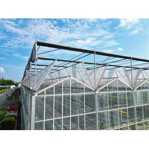 China Multi Span Large Glass Greenhouse Kit Span Width 9.6m 10.8m 12m supplier