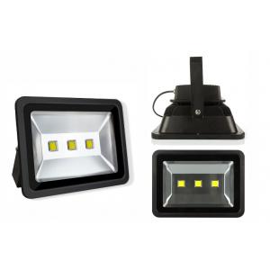 Soccer field 150W COB outdoor LED Flood Light resonable Price with top quality