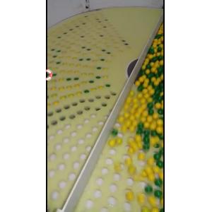 China Softgel Capsule Inspection Counting And Packing Machine 1 Year Warranty supplier