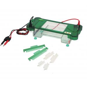 China Auto Switch Off Horizontal Electrophoresis System 130 ×130 Mm Gel Size supplier