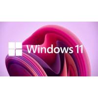 China Email Online Delivery Windows 11 Product Key for Windows 10 Compatibility on sale