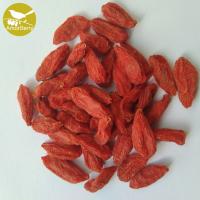 China Himalayan Goji Berry new crop Certified High Quality Lower price Dried Organic and Low agricultural residues Goji berry on sale