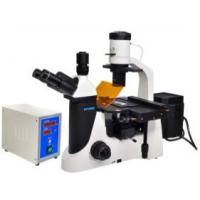 China Epi LED Fluorescent Microscope Trinocular 40X 1000X Biology Lab Microscope on sale