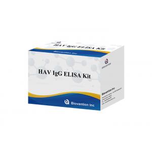 HAV IgG Elisa Kit Antibody Diagnostic Kit For Hepatitis A Virus