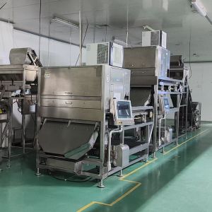 China Advanced Color Sorter with 90%+ Sorting Accuracy wholesale