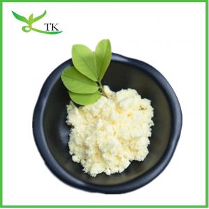 High Quality 100% Water Soluble Ginger Extract Powder