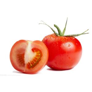 China Linha de processamento concentrada 5T/H do molho de tomate a partir do zero supplier