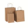China Custom Offset Printing Kraft Paper Gift Bag With Twisted Handle wholesale