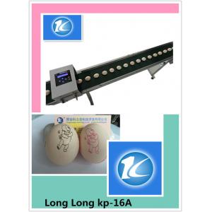 China Intelligent Continuous Inkjet Printer With  Date Automatically Updated supplier
