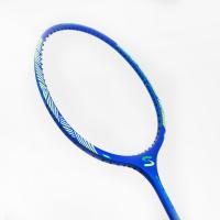 China Graphite Badminton Racket To Play Ball 45lbs Racket Badminton For Strength Training on sale
