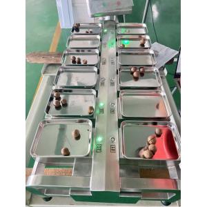 Tabletop Food Combination Weigher 12 Head Weighing Scale Stainless Steel 304