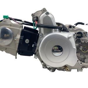 DAYANG 2021 Horizontal 110cc Air-Cooled Three-Wheel Motorcycle Engine Assembly Design