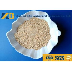 Low Sugar Content Rice Protein Powder , Healthy Protein Additive For Diet Cattle
