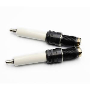 China High Quality Pre-Chamber Six Claws Spark Plug R6GC1-77S Applicable for SGE-56HM SGE-56SM Series Engines wholesale