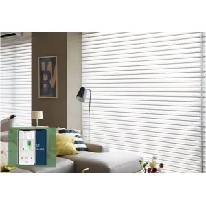 China Automatic Battery Operated Motorized Blackout Zebra Roller Blinds Curtains For Windows Zigbee APP wholesale