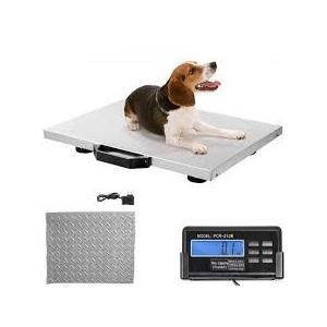 China Floor Scale Stainless Steel With Indicator Animal Weigher wholesale