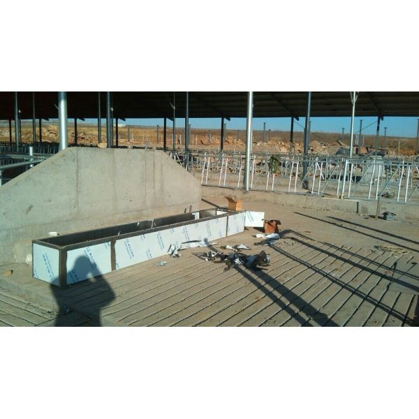 Customized Insulated 4000mm Stainless Steel Water Trough for Cattle and Sheep with Water Conservation