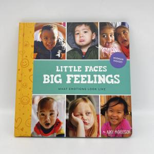 China Печать детских книг на заказ с разрешением 300dpi wholesale