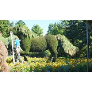 HAIHONG Beautiful Plants And Flowers Topiary Sculpture Fashionable