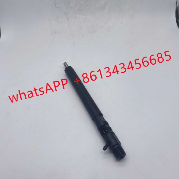 China D20DT EJBR04501D Delphi Fuel Injector wholesale