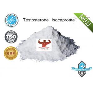 China Testostérone d'hormone stéroïde de grande pureté de 98% Isocaproate CAS15262-86-9 pour Fittness supplier