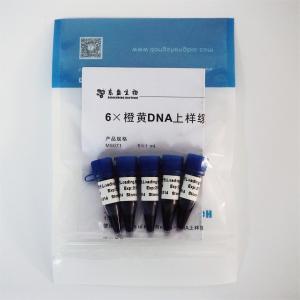 China 6× Gel Loading Dye Three Color DNA Electrophoresis Buffer EDTA 1mlx5 supplier
