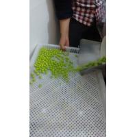 China PP Stackable Drying Trays / Stacking Trays For Drying Paintball / Softgel on sale