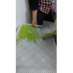 China PP Stackable Drying Trays / Stacking Trays For Drying Paintball / Softgel supplier