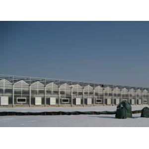 Beautiful Multiwall Polycarbonate Greenhouse Large Lighting Area Uniform Lighting