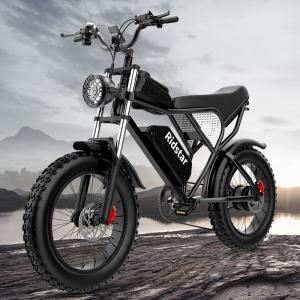 China Ridstar 1000W 20in Electric Bike 20MPH 7 Speed  High Power Ebikes supplier