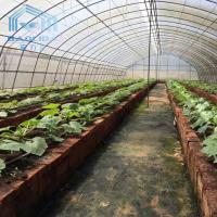 China Commercial Plastic Film Galvanized Transparent Tunnel Plastic Greenhouse on sale