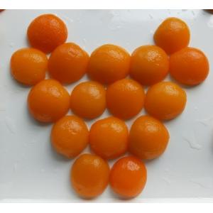 Cholesterol Free Canned Apricot Halves with 17g Sugars