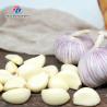 China Garlic splitting machine minced garlic processing production Line wholesale