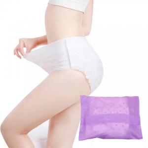 China Disposable Menstrual Underwear for Women 2023 Wholesome Absorbent Underwear S.M.L supplier