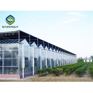 China Commerical Arch Roof 8m 12m PC Sheet Greenhouse supplier