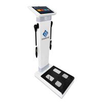 China Best Professional Bioimpedancia Body Composition Analysis Body Composition Scale for Gym on sale