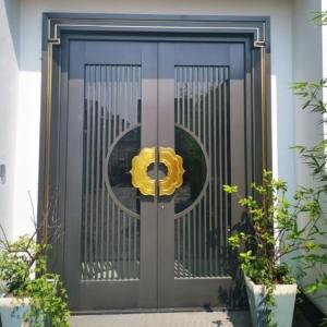 Galvanized Steel Decorative Metal Front Doors With Gold Handles