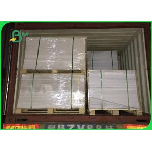 China Tear Proof Polyethylene Coated Paper Biodegradable 160gsm With 10 PE Film supplier