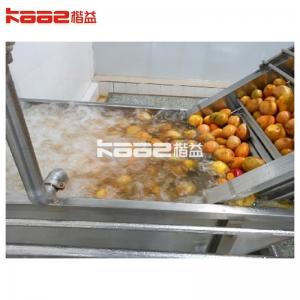 China 20T/H Mango Juice Production Line Mango Fruit Juice Processing Machine supplier