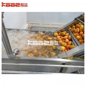 Mango Pulping Processing Line Fruit Juice Machinery Input Capacity 5/H High Performance