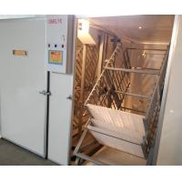 China Large Capacity Commercial Egg Incubator 10000 Eggs Pheasant Parrot Egg Hatching on sale