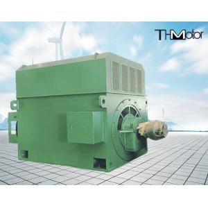 Power Plant High Efficiency Electric Motors 900kw 2500kw