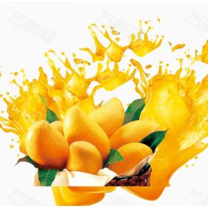 Fruit Vegetable Mango Pulp Processing Plant  2-5T/H SUS304