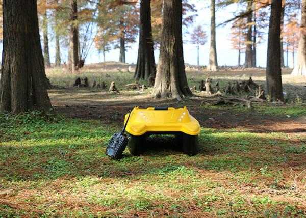 Carp Yellow sonar remote control fishing bait boat  DEVC-303 RoHS Certification