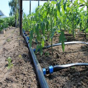 China Greenhouse Drip Irrigation System / Overhead Sprinkler System For Greenhouse supplier