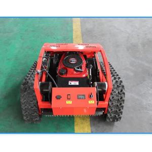 China Lawn Mower 20mm Automatic Grass Trimmer Electric Remote Control AI Robot supplier