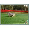 China Residential / Commercial Landscaping Pet Artificial Turf With Monofil PE Curly PPE Materal wholesale